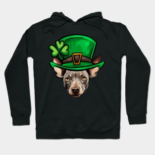 Funny St Patricks Day Hairless Terrier Hoodie